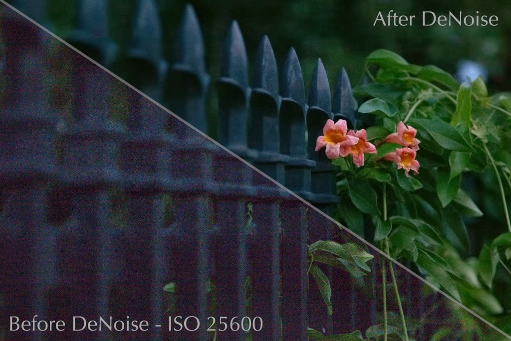 Fence Before & After DeNoise