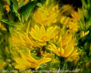 Abstract Yellow Neon Flowers