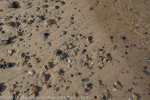 Lake Michigan Beach Texture