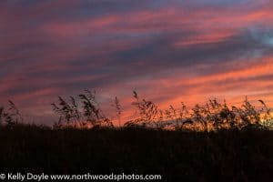 Prairie Sunset