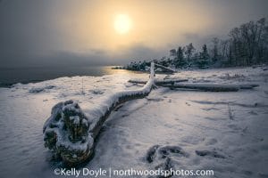 Winter Snowy Sunrise